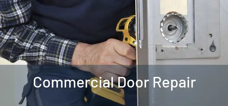 Commercial Door Repair