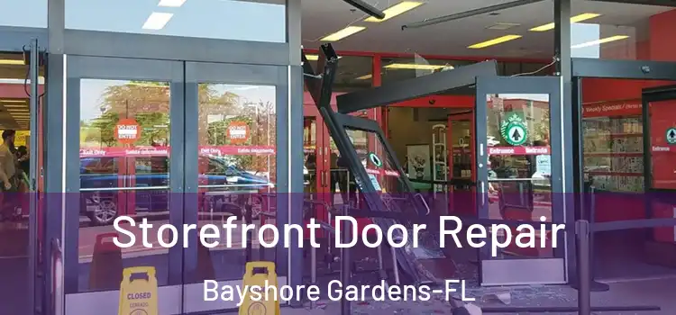  Storefront Door Repair Bayshore Gardens-FL
